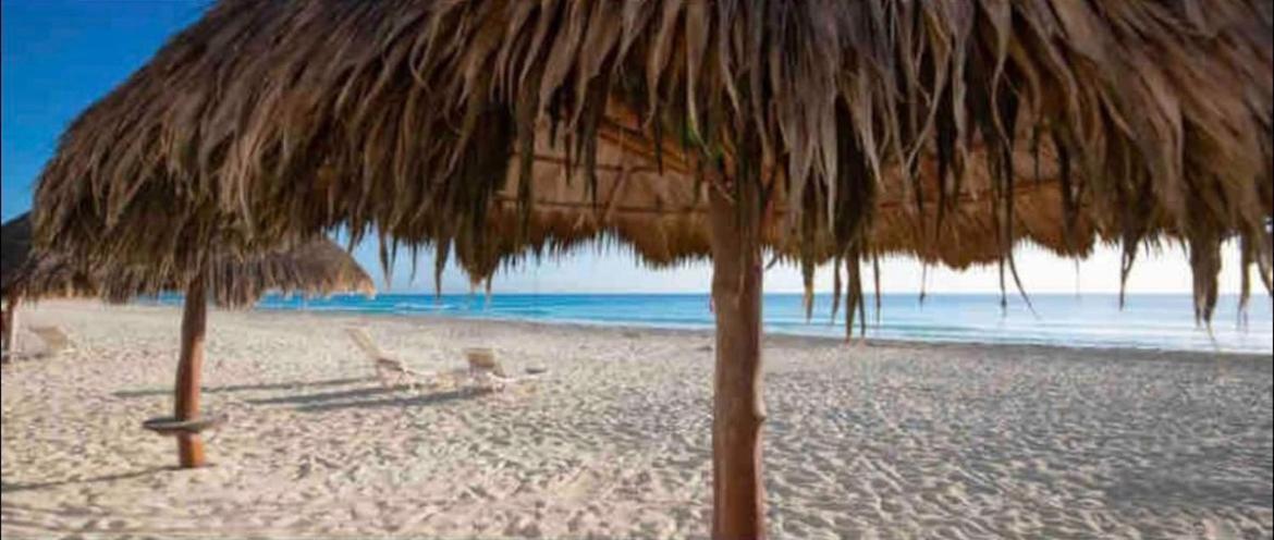 Apartment Brisas - By The Sea Cancun